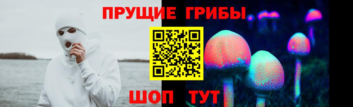 Галлюциногенные грибы Cubensis  Вход с VPN  Псилоцибиновые грибы MAGIC MUSHROOMS  Урус-Мартан 